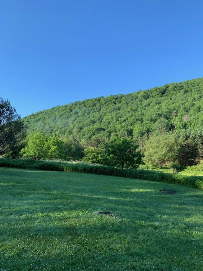 The Maples Apt - King Bed, Pet Friendly, Beautiful Views Ellicottville Exteriér fotografie